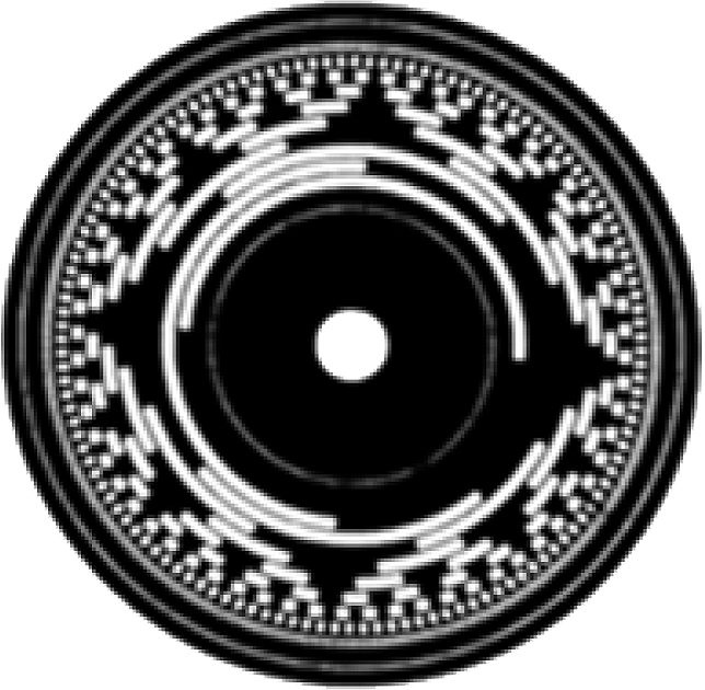 Absolute Encoder Disk with Concentric Circle Pattern