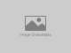 ENC-CBL-EC-M12F12-LK-T12-10