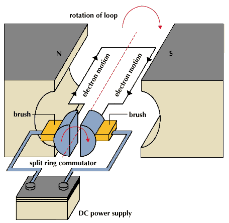 Source: https://engineeringnotesonline.com/dc-motors/ by Er.Sushil Neupane